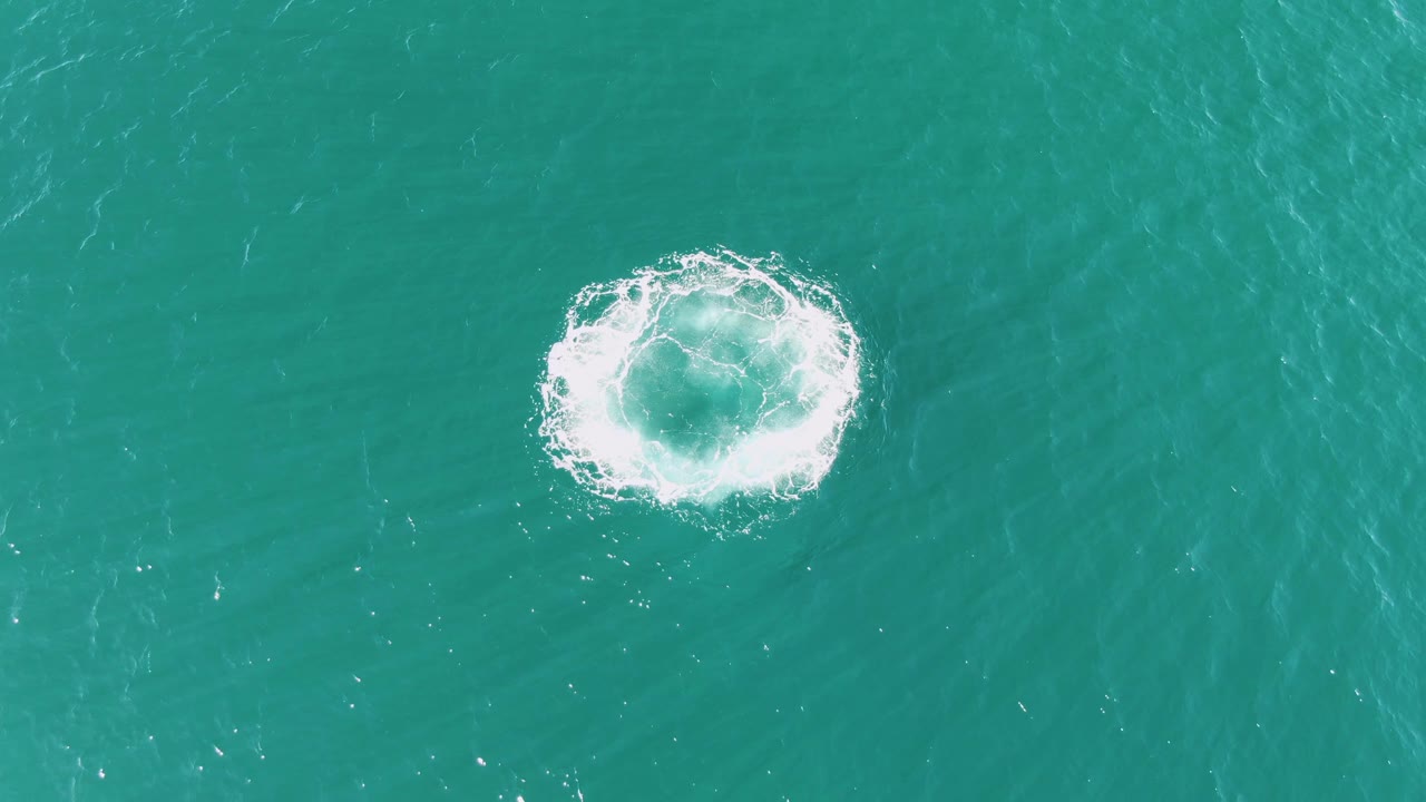 White foam ring expanding across green-blue water