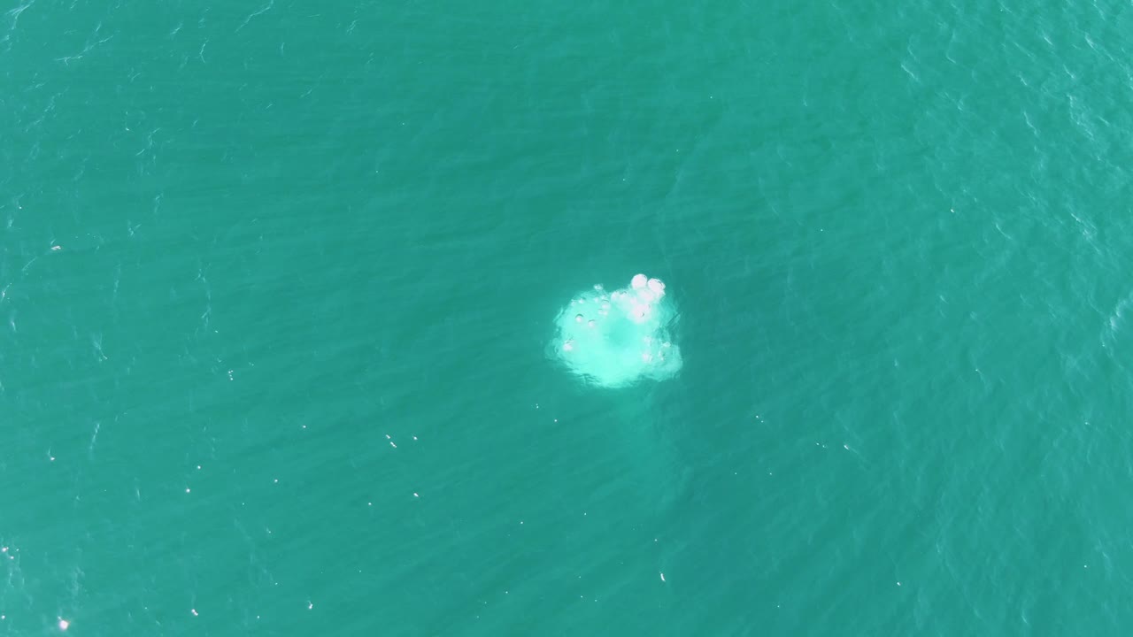 A white bubble plume appears slightly larger beneath the clear turquoise surface at Buzzards Beach, surrounded by faint ripples and no visible people.