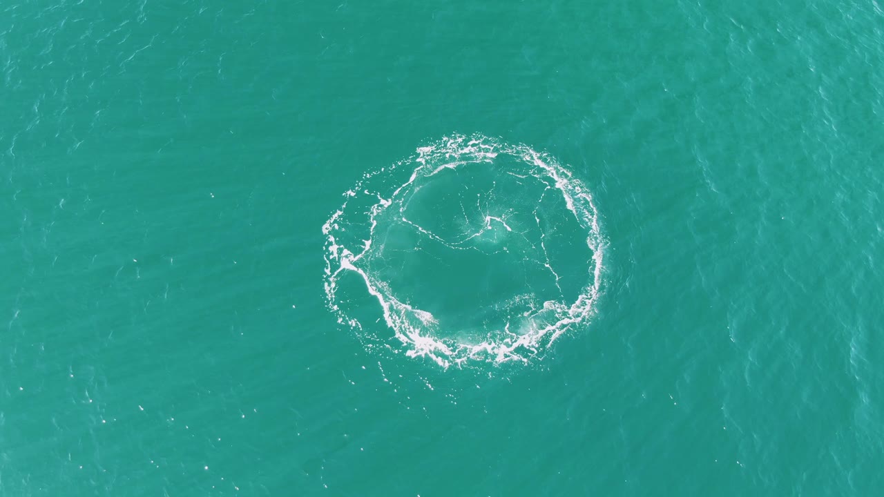 A broken ring of white foam sits on the turquoise sea surface at Buzzards Beach, Baja California Sur, Mexico, with no visible people or objects.