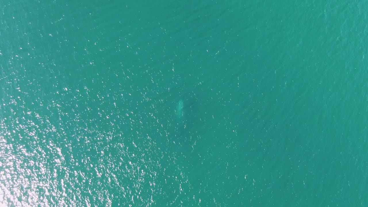 Turquoise ocean surface with sun glitter and faint underwater shape.