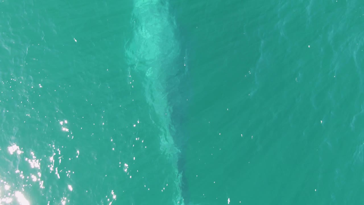Overhead view at Buzzards Beach, Baja California Sur, showing a pale marine animal shape beneath turquoise water with sun sparkle and no visible people.