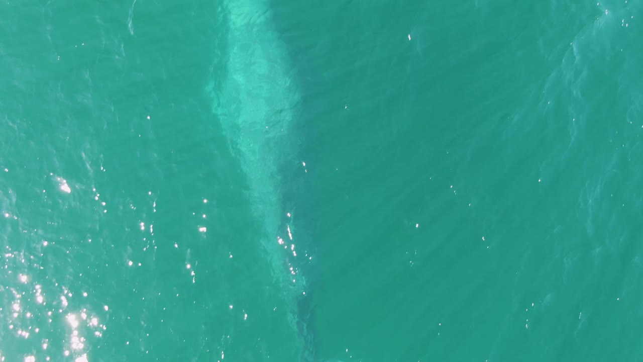 A pale underwater animal form remains near the upper part of the Buzzards Beach frame as bright reflections scatter across the turquoise surface, with no visible people.