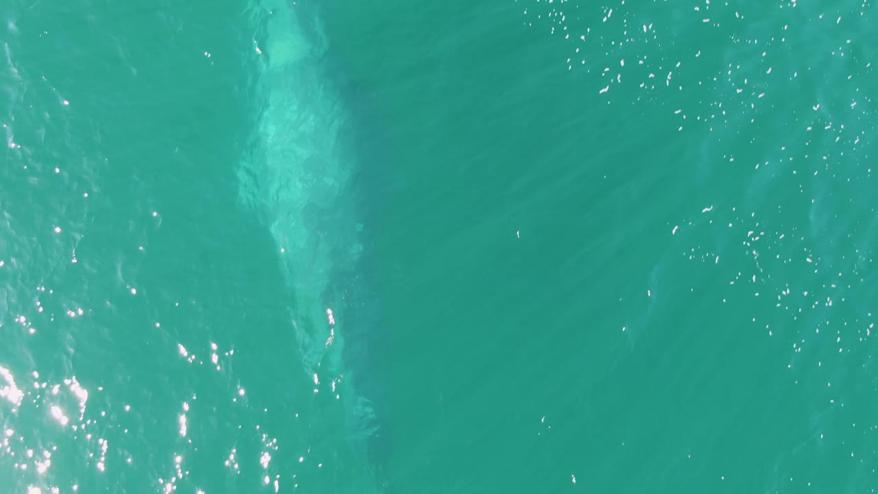 Pale underwater animal shape near the left side of turquoise water