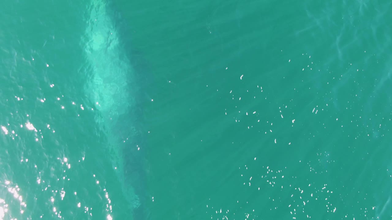 Turquoise ocean water with a pale submerged marine animal shape near the left side.
