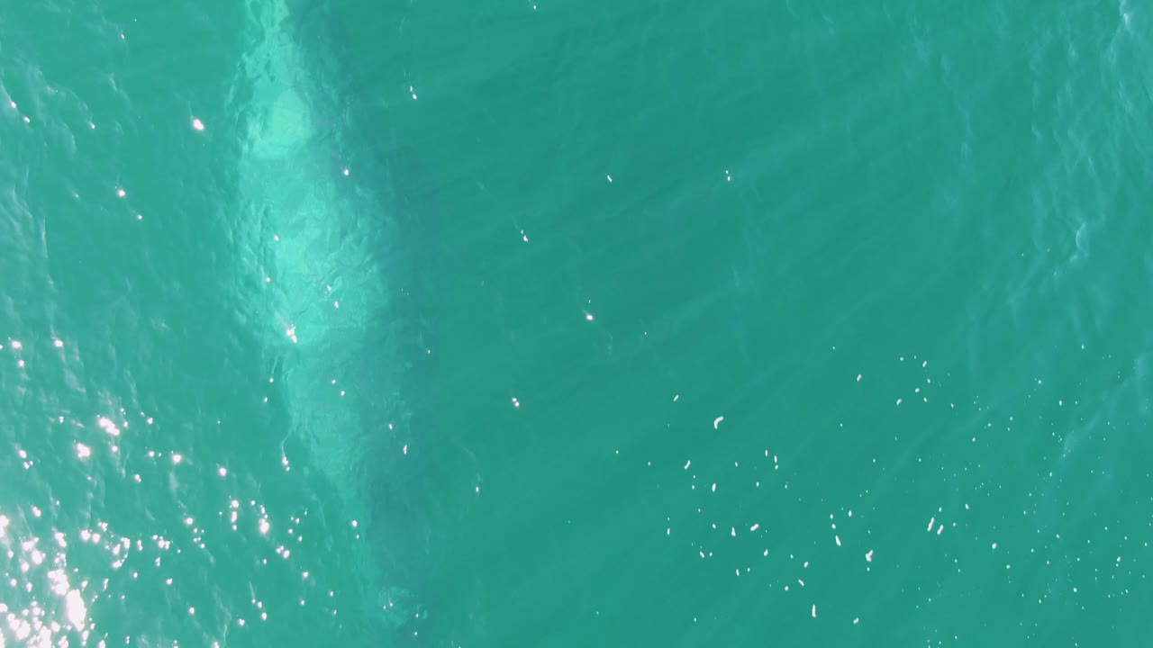 At Buzzards Beach, Baja California Sur, the whale-like form is faint under the turquoise surface while sunlight speckles the water and no visible people appear.