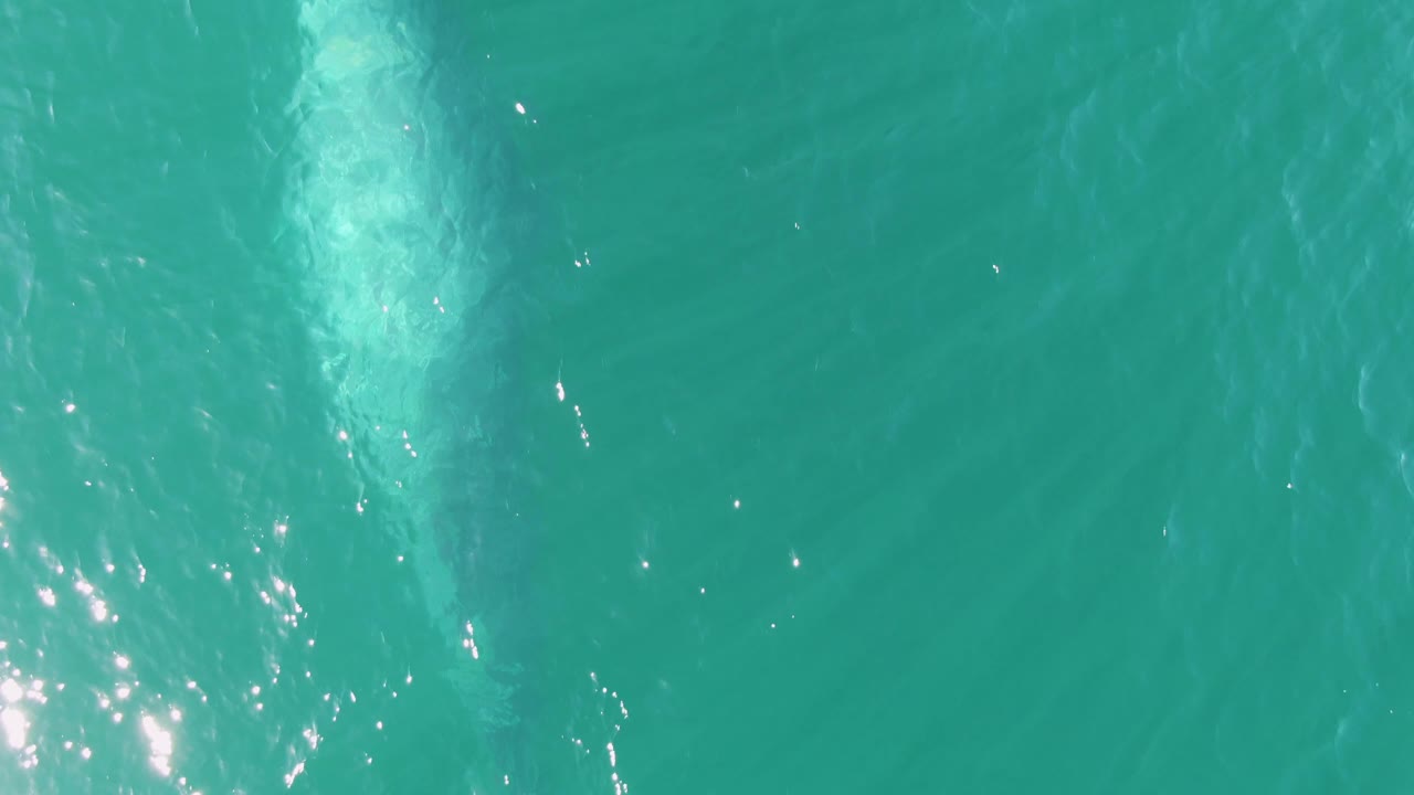 At Buzzards Beach, Baja California Sur, the submerged whale-like body appears near the left third of the turquoise water, with scattered sun glare and no visible people.