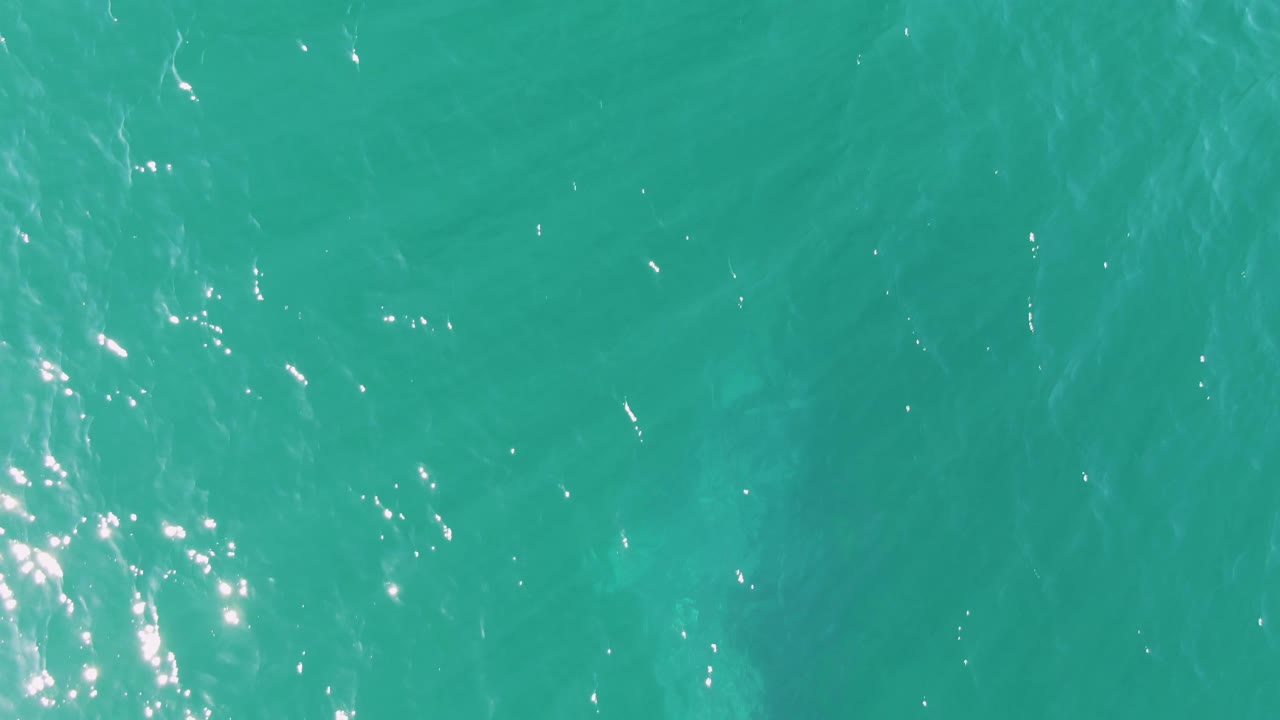 Turquoise ocean surface with small ripples and sun sparkles.