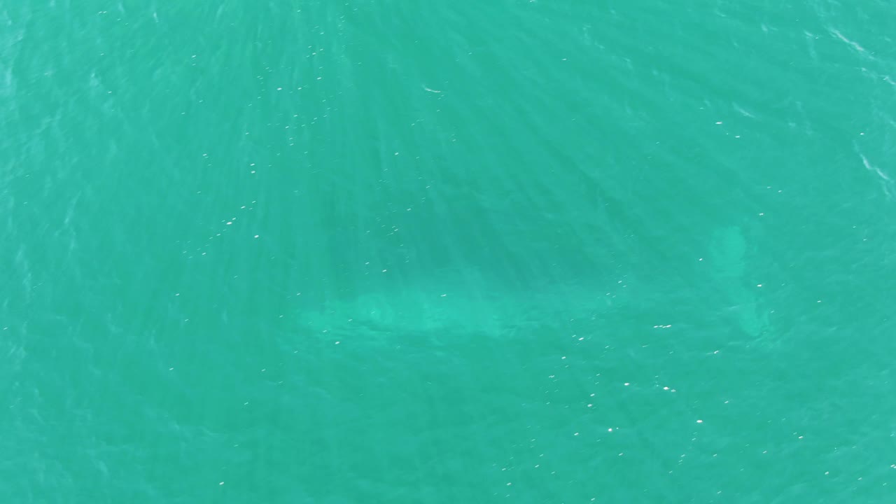 A submerged whale form is faintly visible through clear turquoise sea at Buzzards Beach, Baja California Sur, with brighter wave streaks and no visible people.