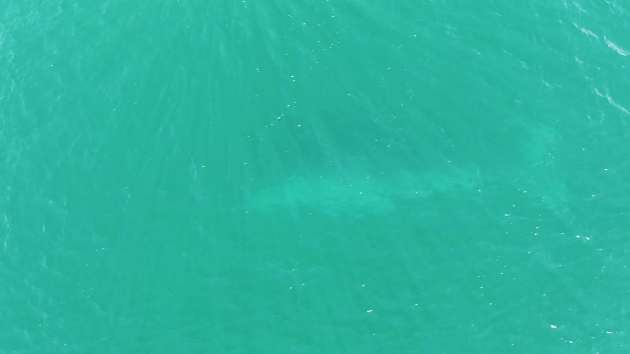 Turquoise ocean surface fills the frame at Buzzards Beach, Baja California Sur, with only a dim underwater whale form remaining and no visible people.