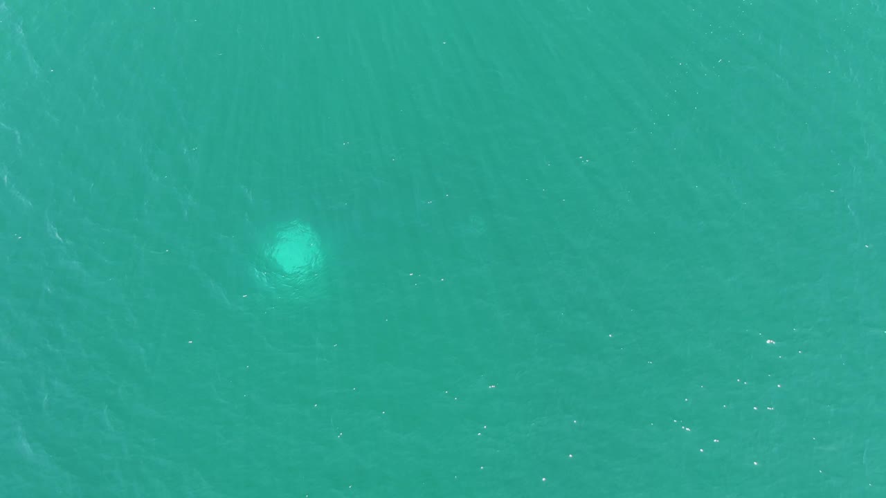 The jellyfish remains below the clear turquoise surface at Buzzards Beach, with its soft outline slightly brighter against the surrounding water and no visible people.