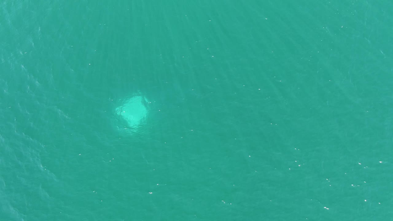 A brighter jellyfish form shows under the rippled turquoise ocean surface at Buzzards Beach, with open water filling the frame and no visible people.