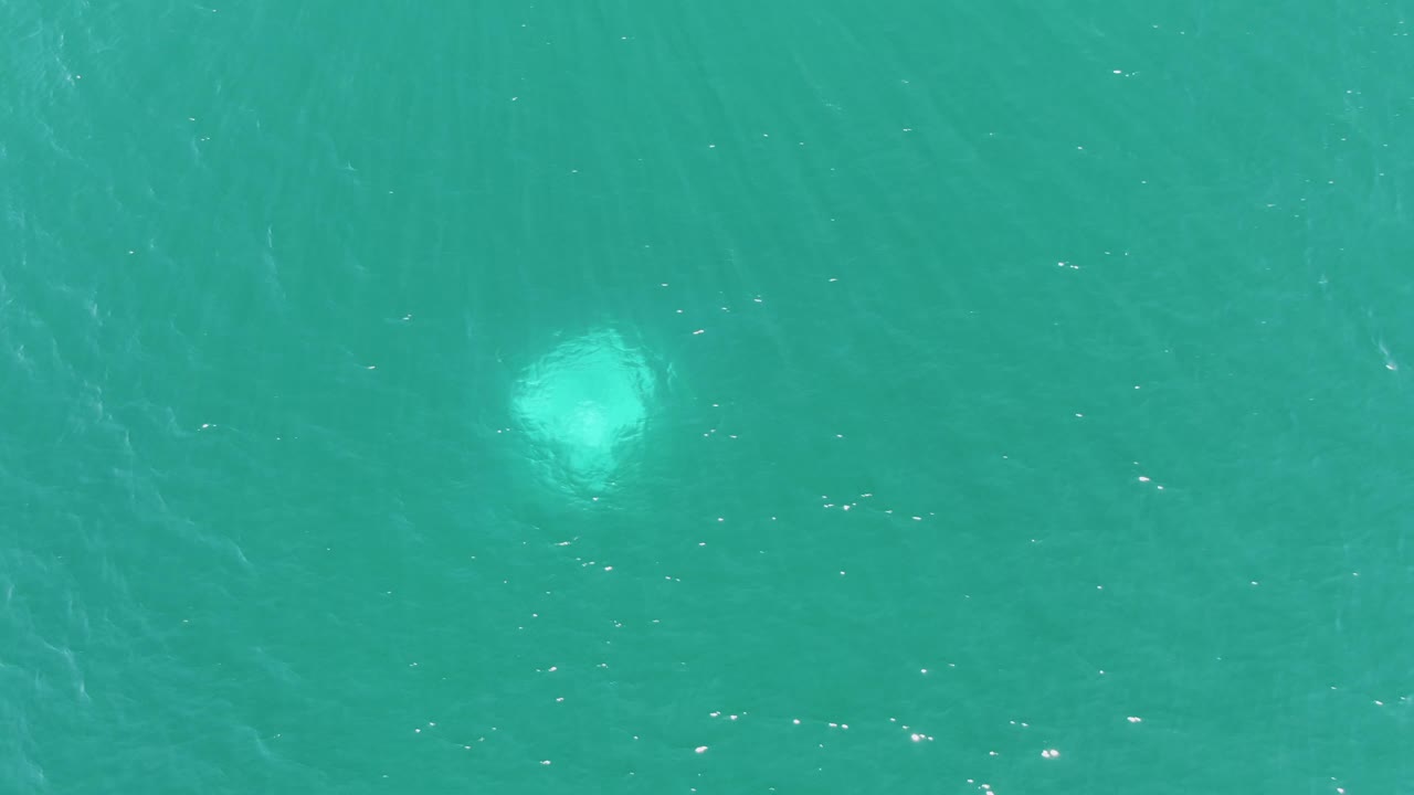 The jellyfish appears larger and softer below the blue-green surface at Buzzards Beach, with scattered small highlights in the water and no visible people.