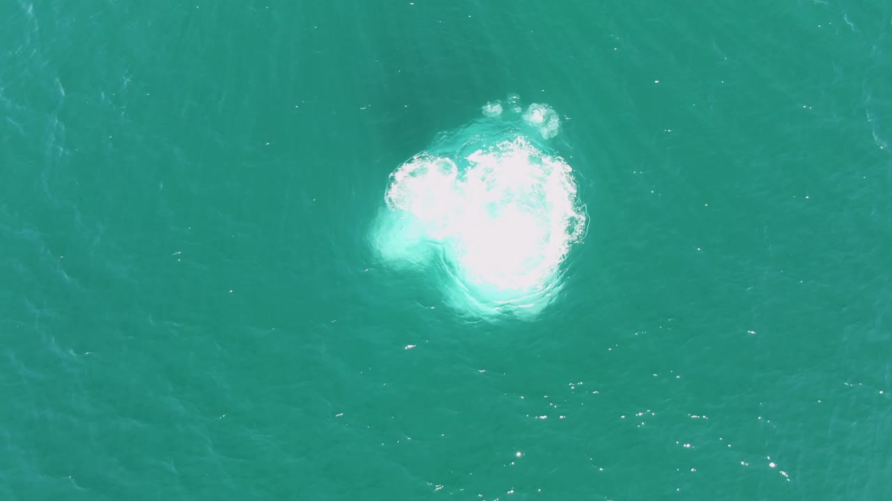 A larger white foam disturbance spreads across open turquoise water in Baja California Sur, with no shoreline or people visible.