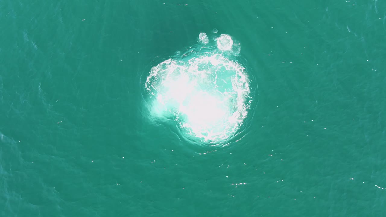 Circular foam patch with ripples in turquoise sea.
