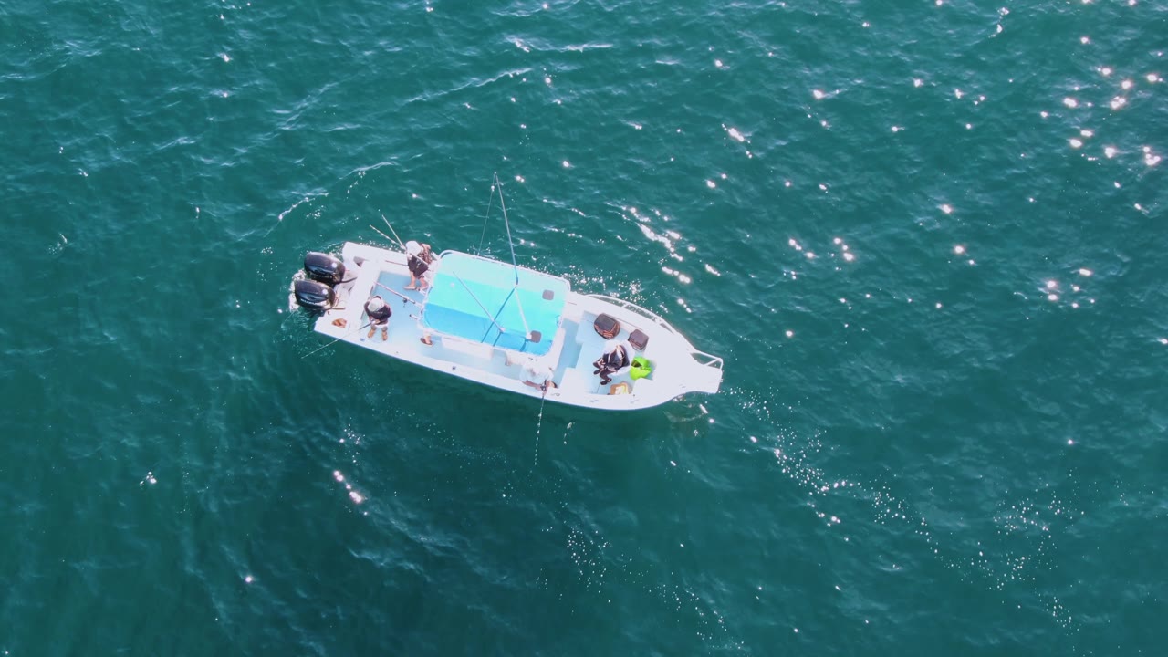 Overhead view of a white motorboat with a blue roof crossing green-blue water at Buzzards Beach, Baja California Sur, Mexico, with sun reflections scattered around it.