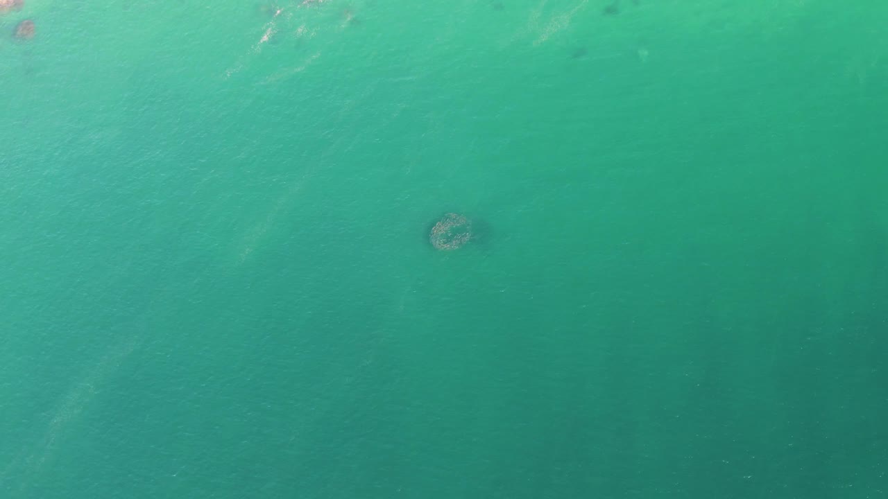 Top-down Buzzards Beach ocean view with the whale-like dark form near center, soft water texture across the frame, and no visible people or boats.