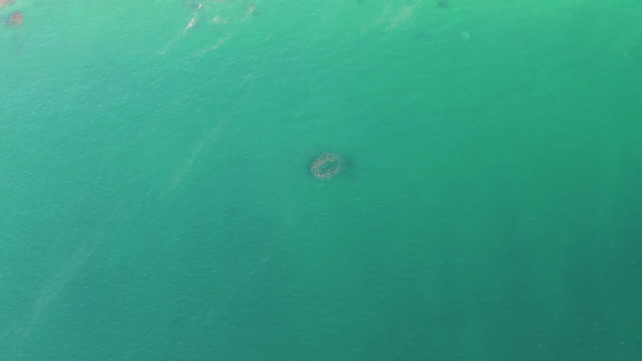 Aerial view at Buzzards Beach with the dark circular marine shape held in open turquoise sea, slight ripple streaks nearby, and no visible people.