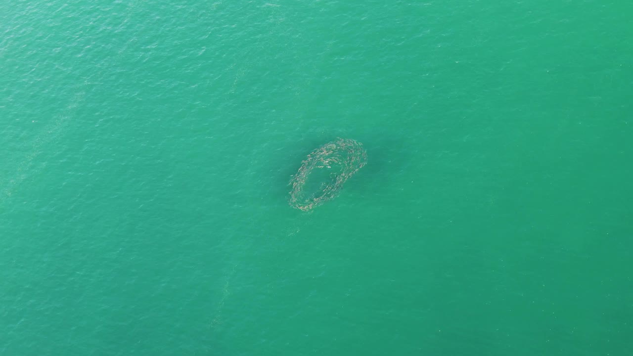 Aerial frame over Buzzards Beach, Baja California Sur, Mexico, showing turquoise water with a small circular formation left of center and no visible people.