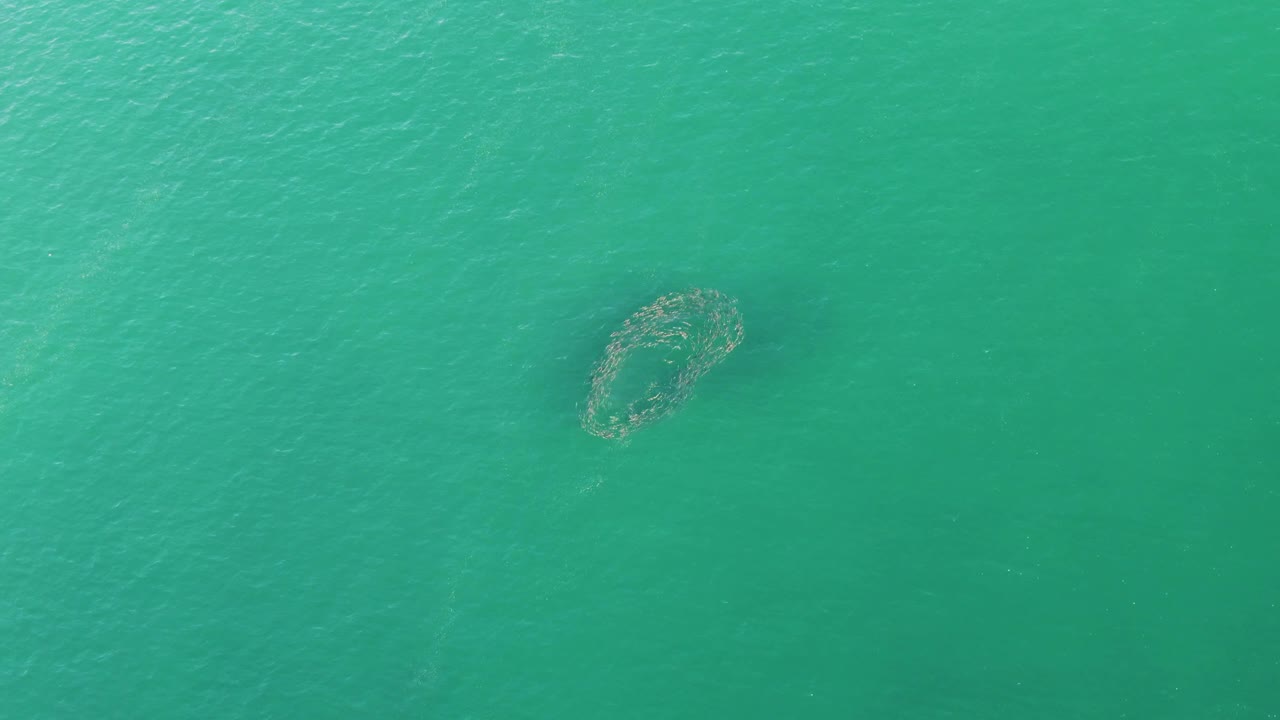 Aerial view at Buzzards Beach with the circular formation nearer the center, surrounded by soft ripples in clear turquoise water and no visible people.
