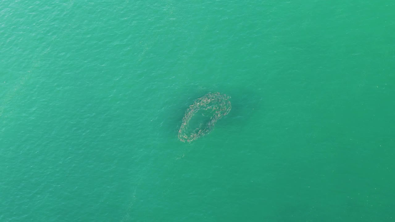 Aerial turquoise ocean frame with a circular formation lower left.
