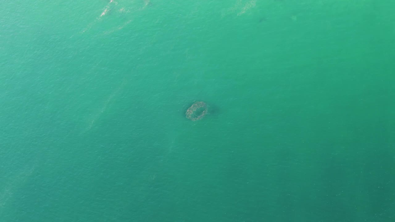 Overhead frame from Buzzards Beach showing green-blue ocean water, faint ripple streaks, and the circular underwater formation near the center with no visible people.