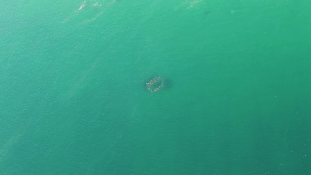 Aerial view over Buzzards Beach water with the circular submerged feature slightly right of center, light surface texture, and no visible people.