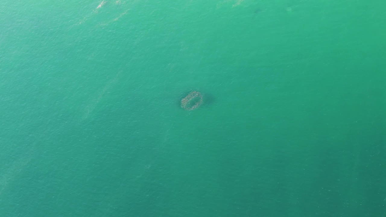 Overhead turquoise water and small circular formation