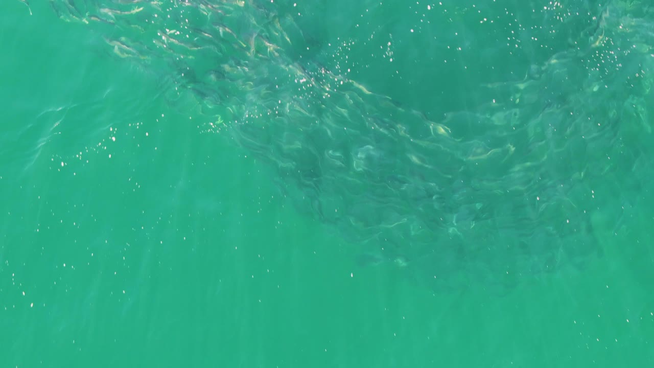 At Buzzards Beach, Baja California Sur, scattered small fish and tiny bubbles appear beneath a softly rippled turquoise surface with no visible people.