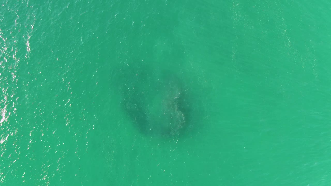 Dark underwater shape in open turquoise ocean