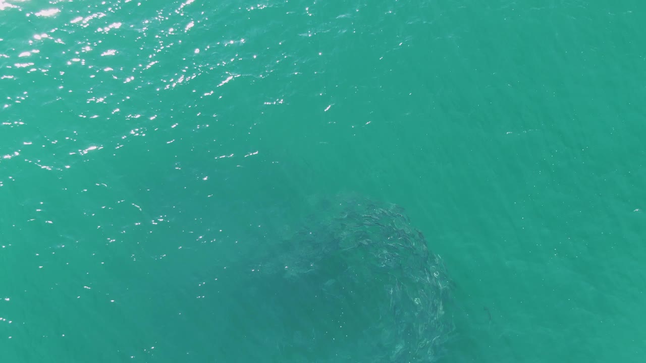 At Buzzards Beach in Baja California Sur, surface glare gathers across the upper water while the dark fish school remains visible underwater near the lower part of the frame, with no visible people.