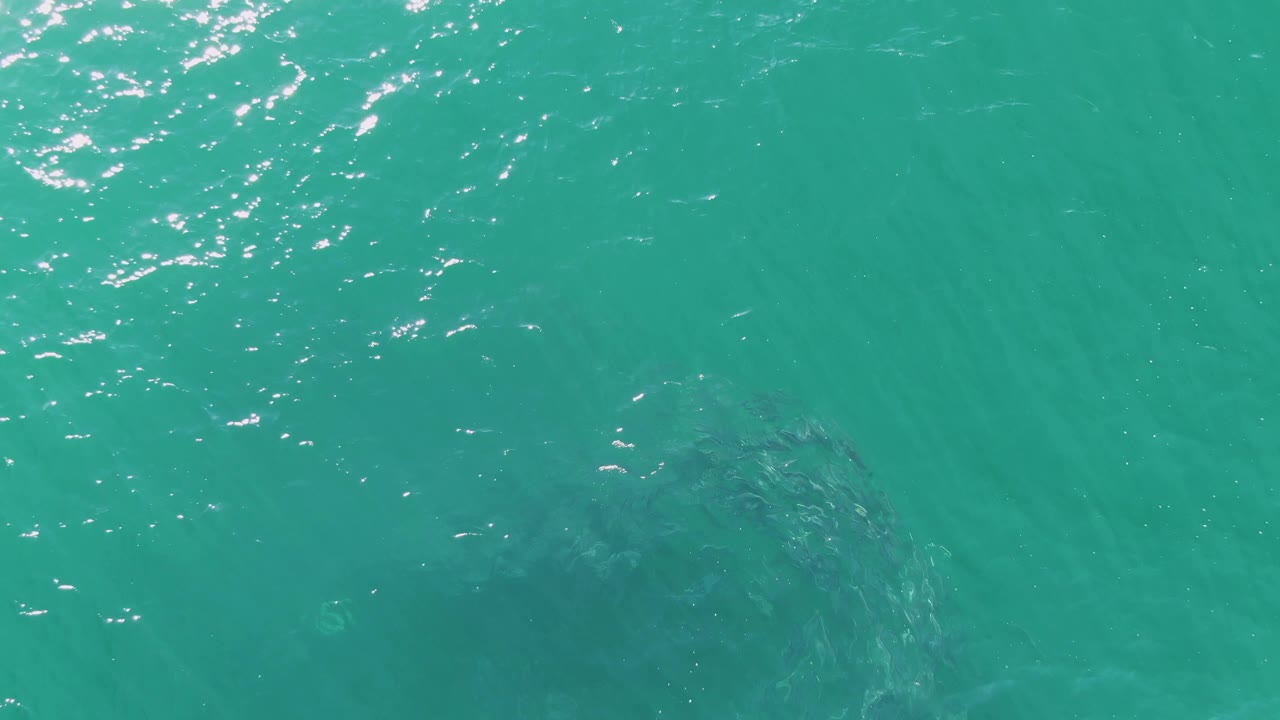 At Buzzards Beach in Baja California Sur, the circular fish school appears slightly farther right under the blue-green surface as small highlights scatter across the upper frame, with no visible people.