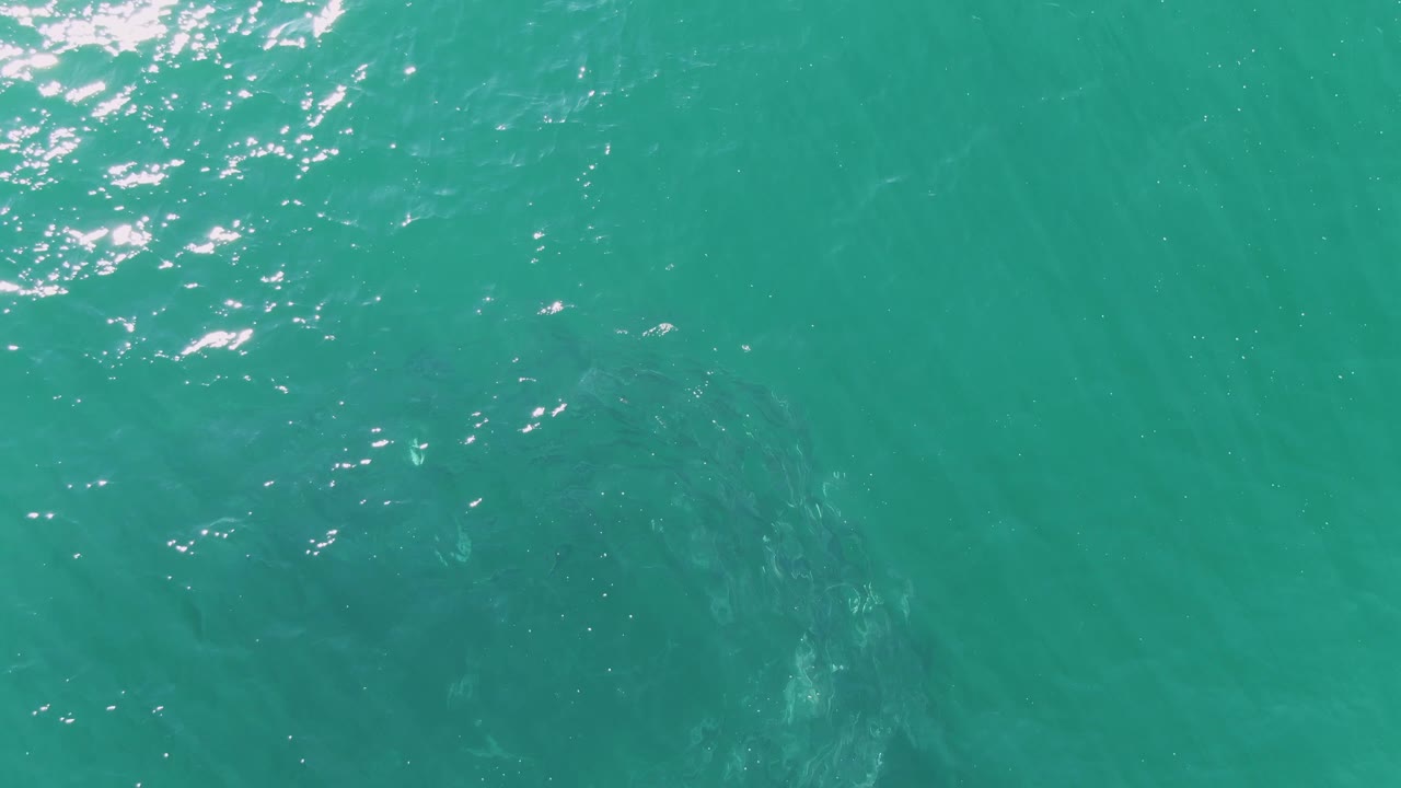 Overhead view of turquoise water at Buzzards Beach, Baja California Sur, with sun flecks and a faint submerged marine animal shape near the lower center, no visible people.