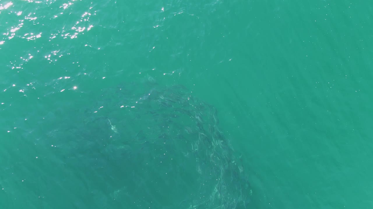 A large dark underwater form sits below the turquoise surface at Buzzards Beach, Baja California Sur, with small ripples and no visible people.