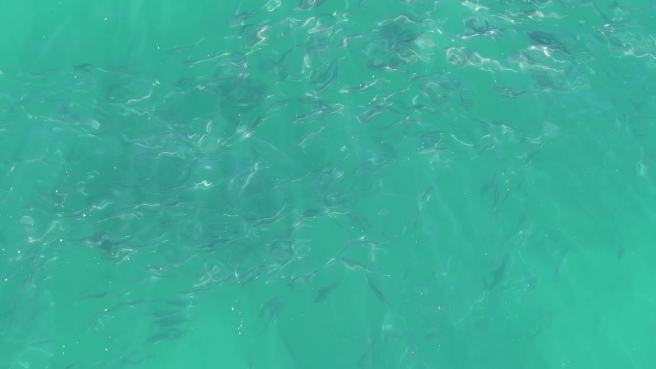 At Buzzards Beach in Baja California Sur, the fish cluster more tightly near the upper portion of the turquoise frame, with no visible people.