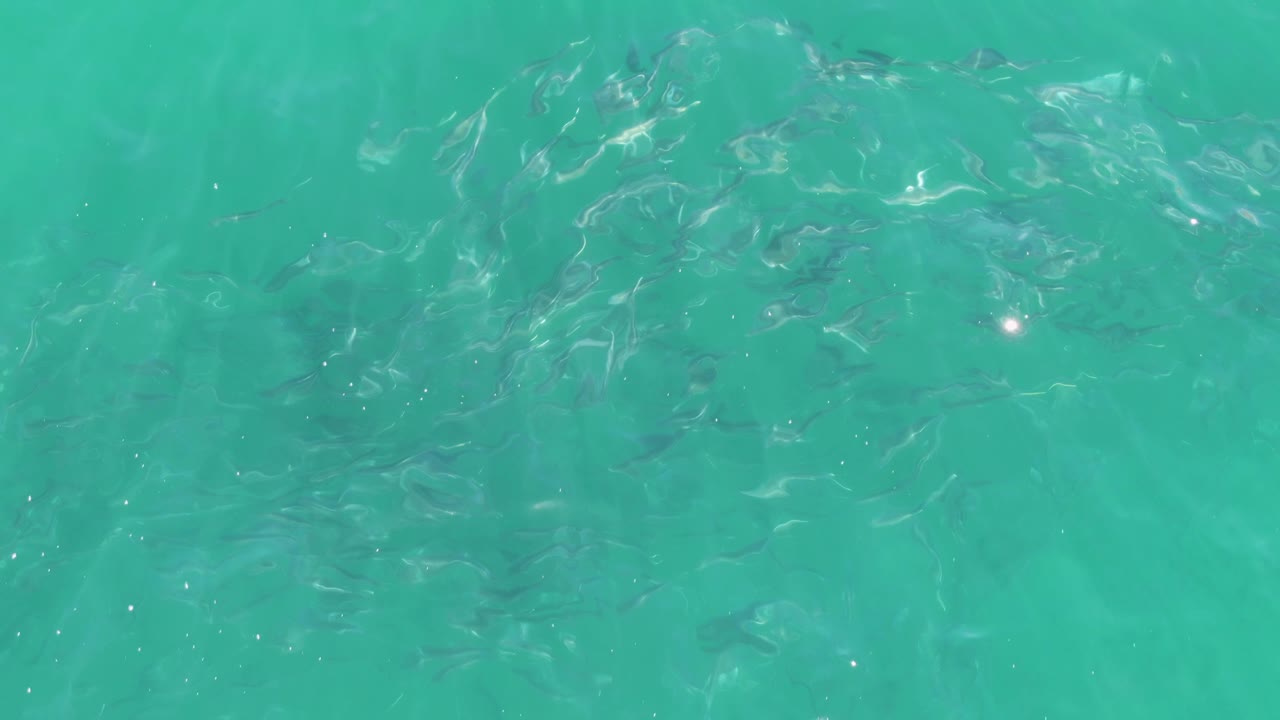 A straight-down Buzzards Beach frame shows small fish diffused under wavy turquoise water, with soft sandy color beneath and no visible people.