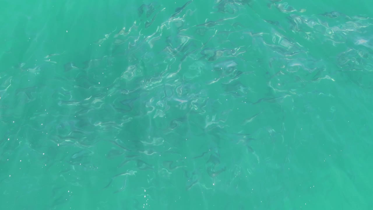 Dark fish shapes in shallow turquoise water