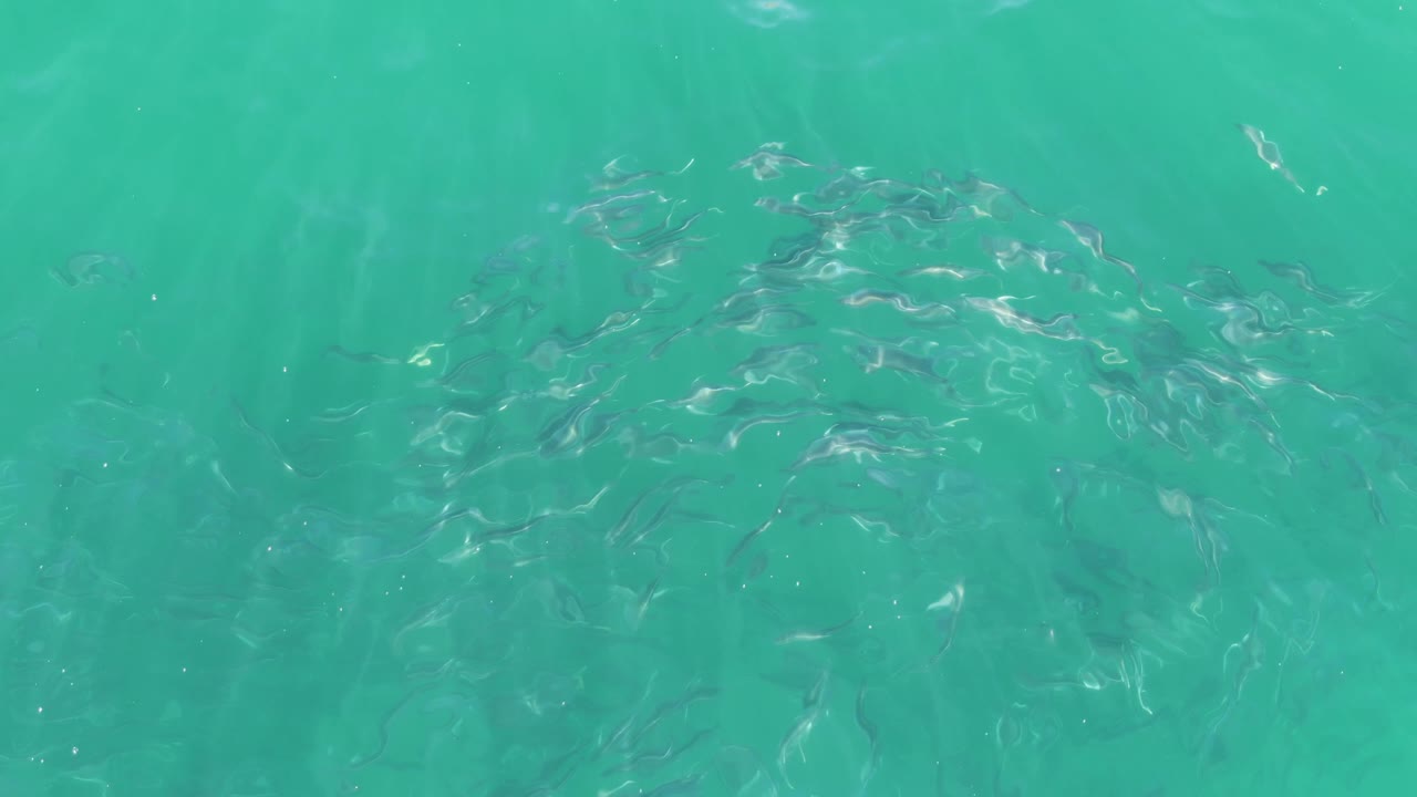 Small fish remain clustered below the clear turquoise surface, with brighter ripples crossing the center of the frame and no visible people.
