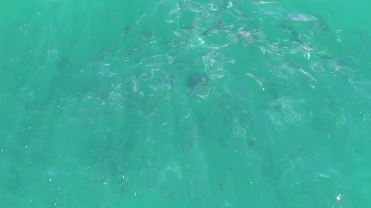 The fish school appears more spread out under the turquoise surface, with a faint darker patch at left and no visible people.
