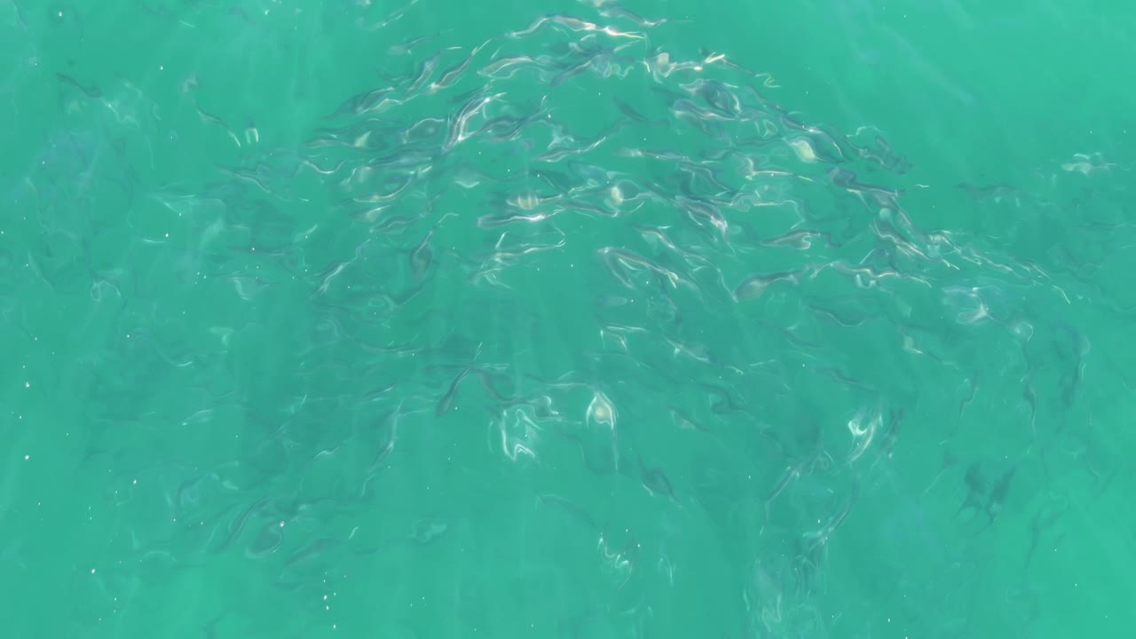 At Buzzards Beach in Baja California Sur, a loose school of small fish appears beneath rippled turquoise water near the left side of the frame, with no visible people.