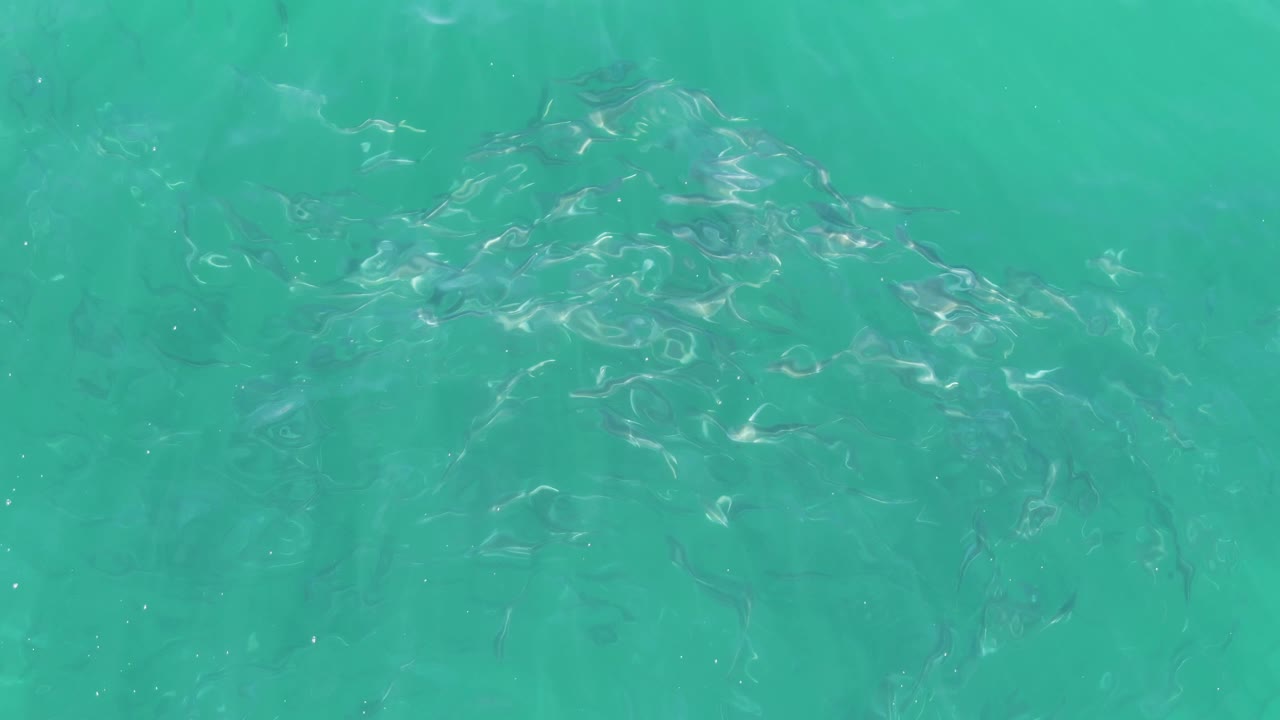 At Buzzards Beach in Baja California Sur, the fish school spreads across the upper right area of the turquoise water while faint bottom texture remains visible, with no visible people.