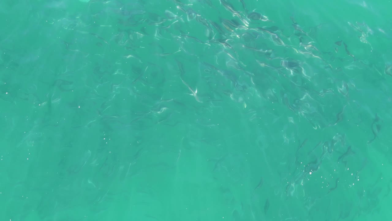 Turquoise ocean water with small fish beneath surface ripples