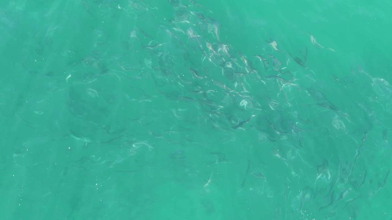 Third frame holds on clear turquoise ocean at Buzzards Beach, with the fish more dispersed across the center and faint wave texture on the surface, with no visible people.
