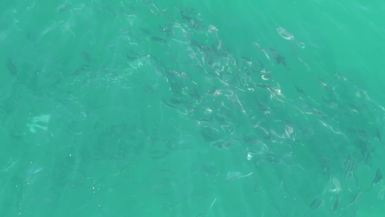 Fourth frame shows the lower-row view of Buzzards Beach water, where small fish remain visible below stronger ripple patterns and no visible people appear.