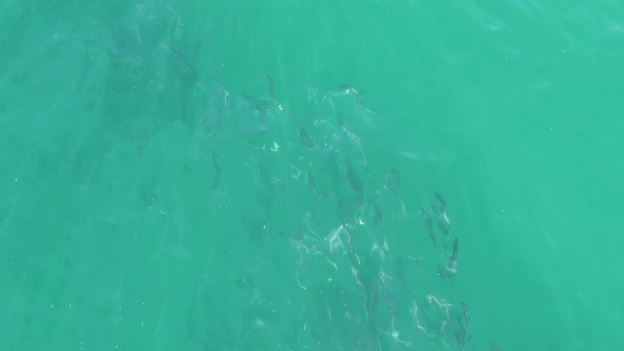Overhead turquoise water with faint fish below the surface