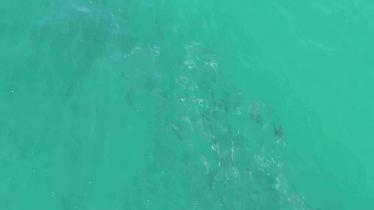Clear turquoise water fills the frame at Buzzards Beach, with a small school of fish more visible near the center and no visible people.