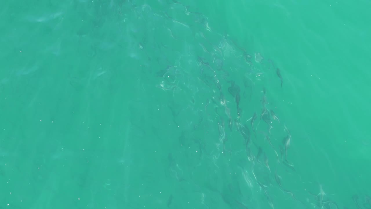 Buzzards Beach turquoise water seen from above, with fish beneath the surface and a small bright sun glint near the lower part of the frame, no visible people.