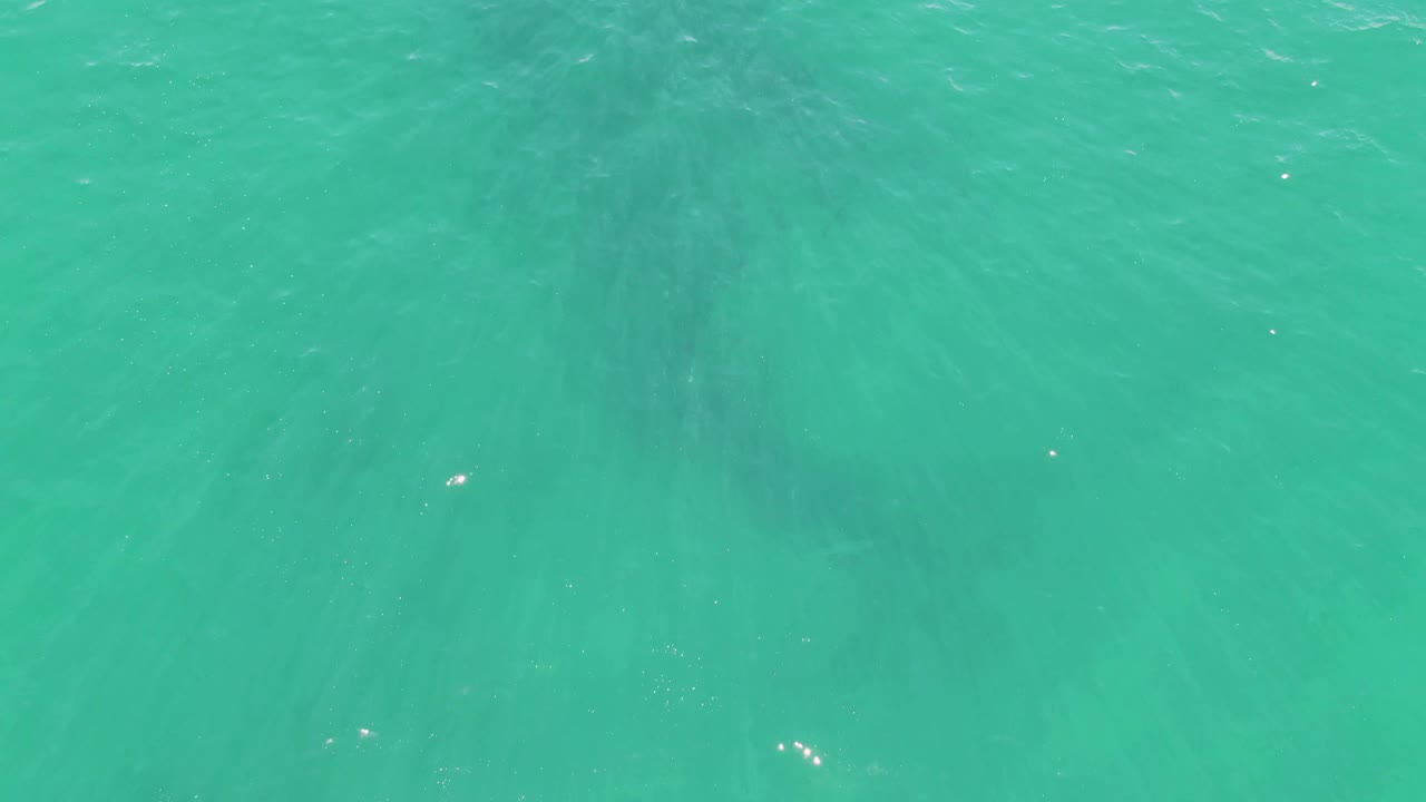 Clear green-blue ocean water at Buzzards Beach with soft ripples, scattered bright reflections, and no visible people.