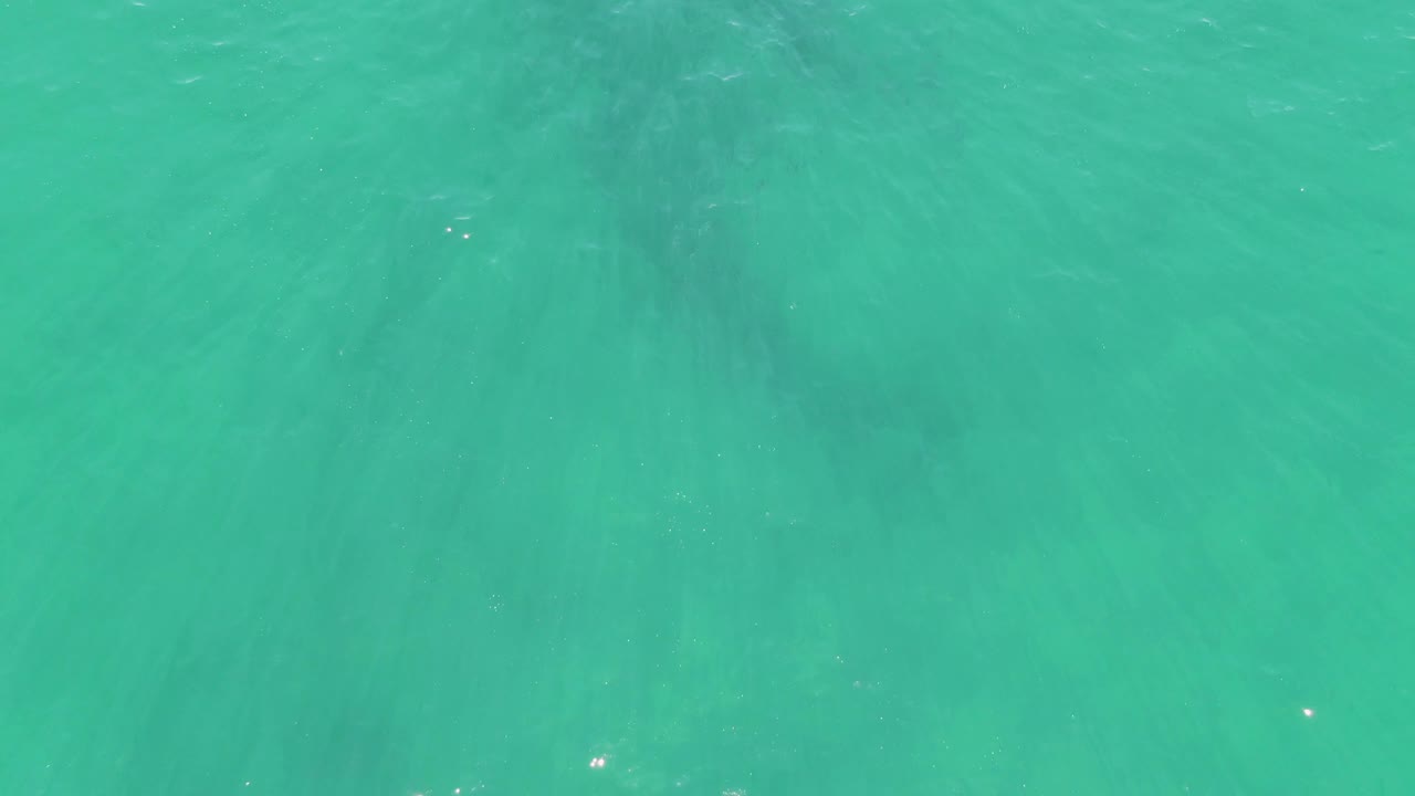 Mid-clip frame of Buzzards Beach turquoise water with faint bubbles, tiny light specks, and no visible people.