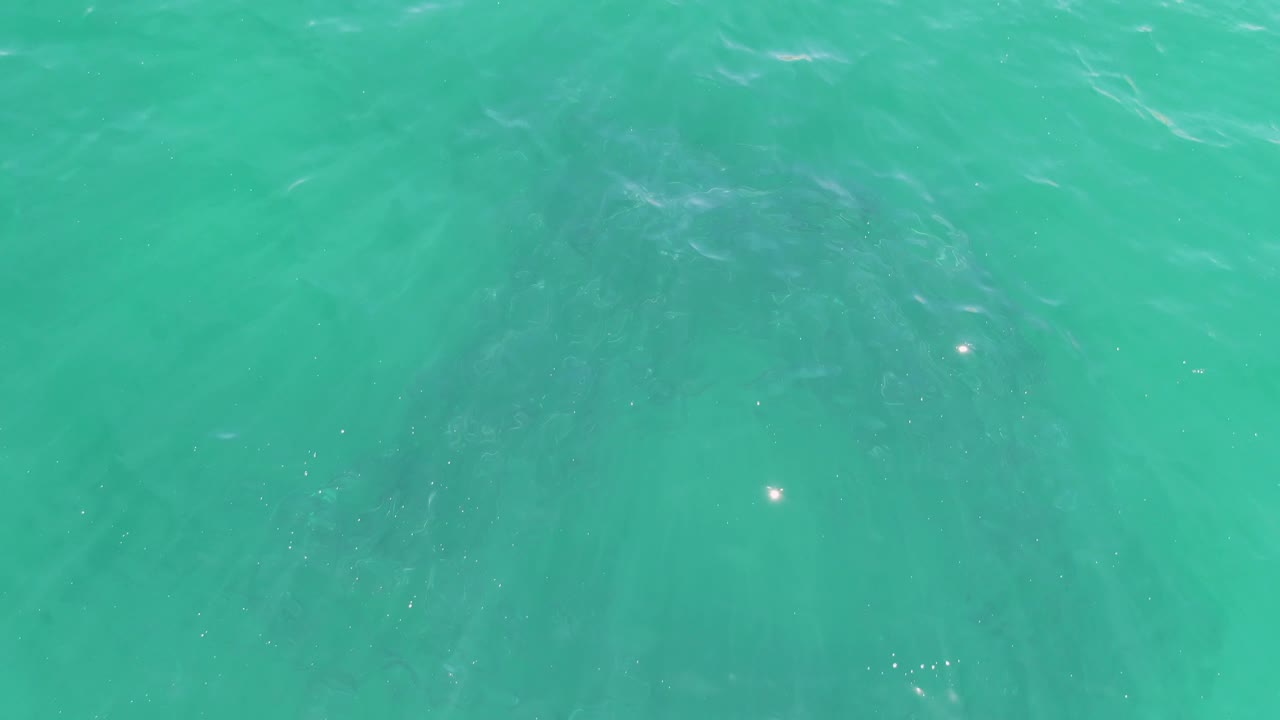 Turquoise ocean fills the frame at Buzzards Beach, with broad darker reef or seabed forms under moving surface ripples and no visible people.