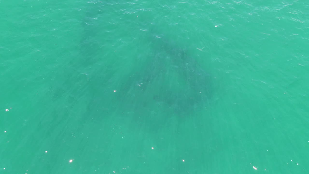 Top-down view of turquoise water at Buzzards Beach, Baja California Sur, with faint dark fish formations under the rippled surface and no visible people.